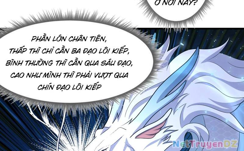 đồ đệ của ta đều là đại yêu vô địch Chapter 25 - Trang 1